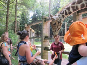 Come here Giraffe